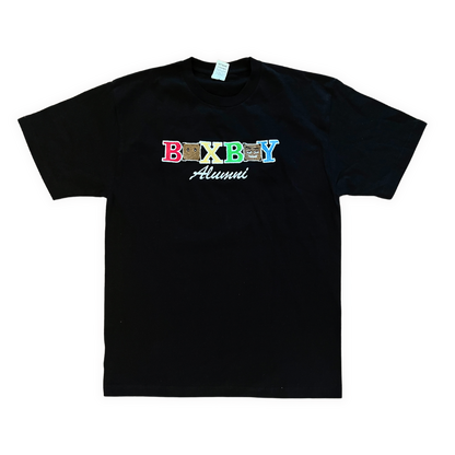 BOXBOY adult t-shirt