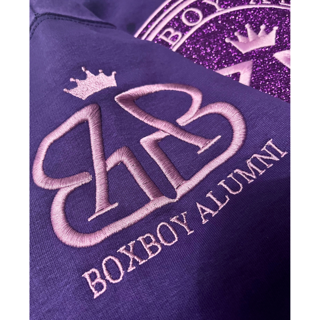 BoxBoy Alumni adult glitter bomb hoodie