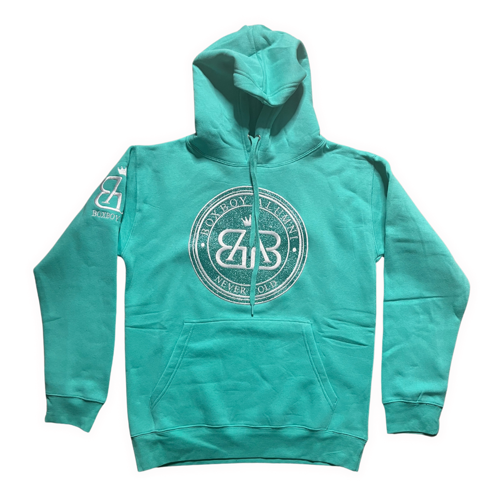 BoxBoy Alumni adult glitter bomb hoodie