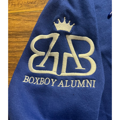 BOXBOY Alumni (glitter bomb) adult hoodie