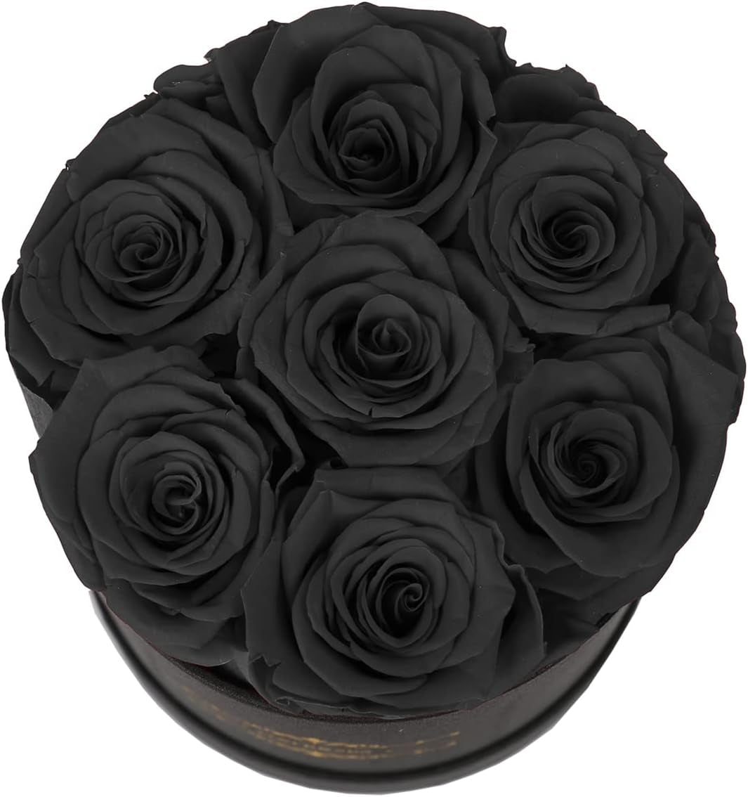 NATROSES 7 Piece Preserved Roses in a Box, Preserved Flowers for Birthday, Flower Gifts for Mothers Day (Black)