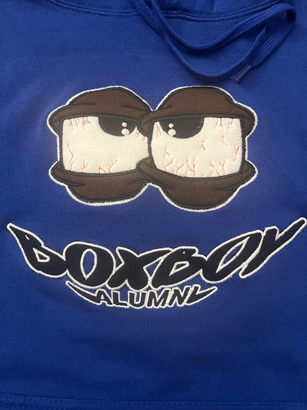 BoxBoy Alumni Stoner adult hoodie