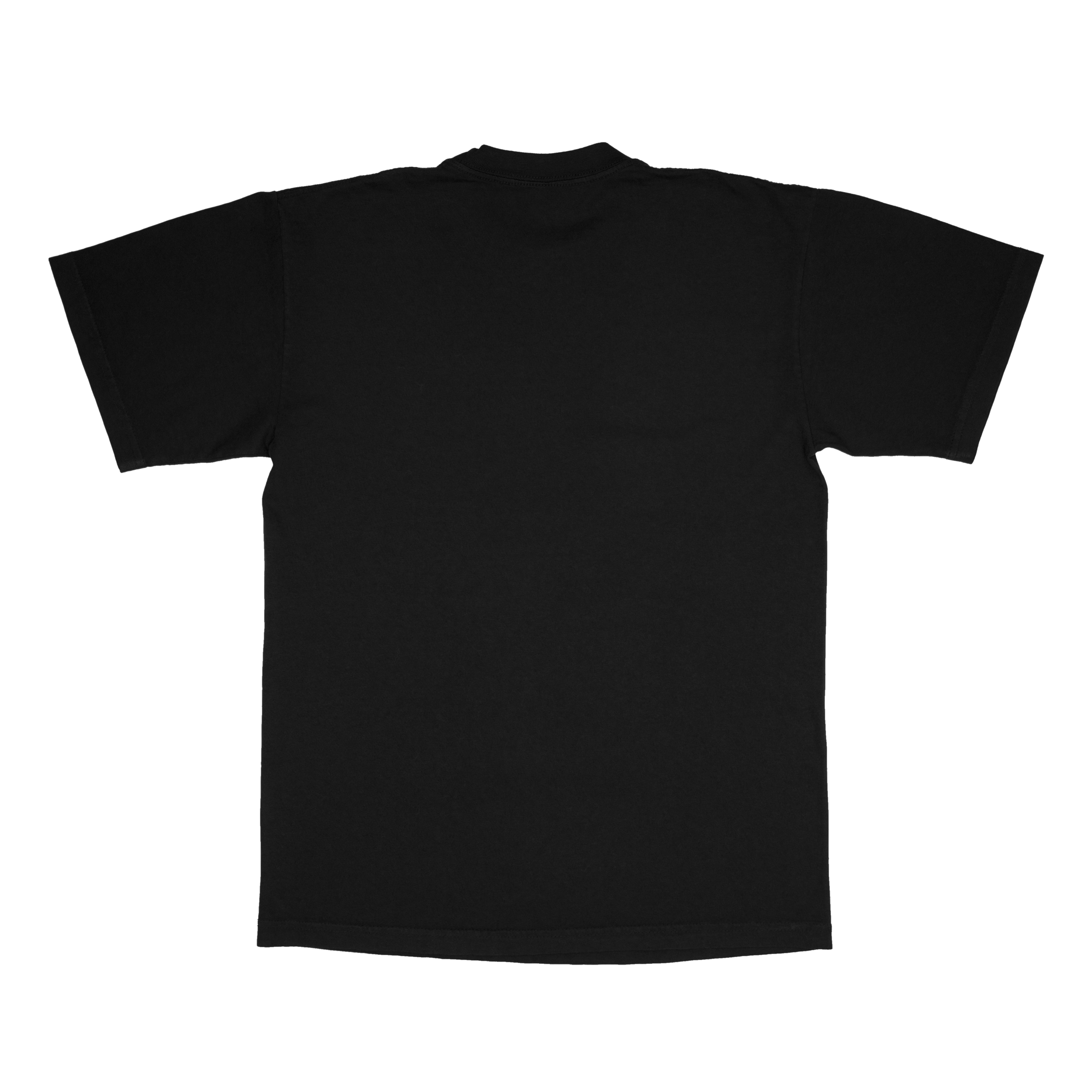 BTA Girlz adult tee