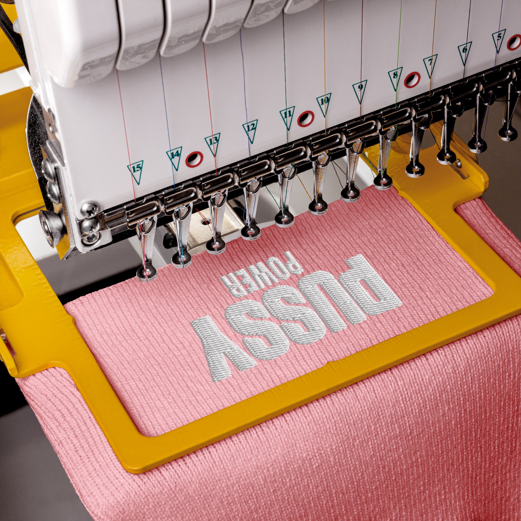 Pussy Power cuffed beanie