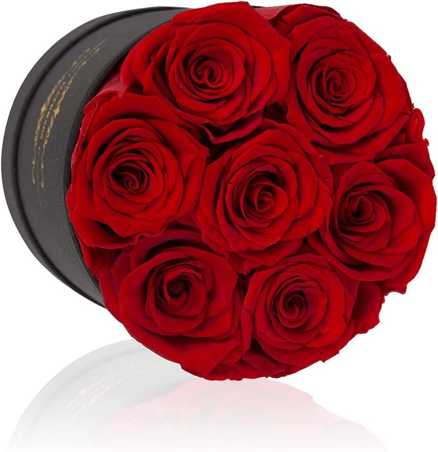 NATROSES 7 Piece Preserved Roses in a Box, Preserved Flowers for Birthday, Flower Gifts for Mothers Day (Red)